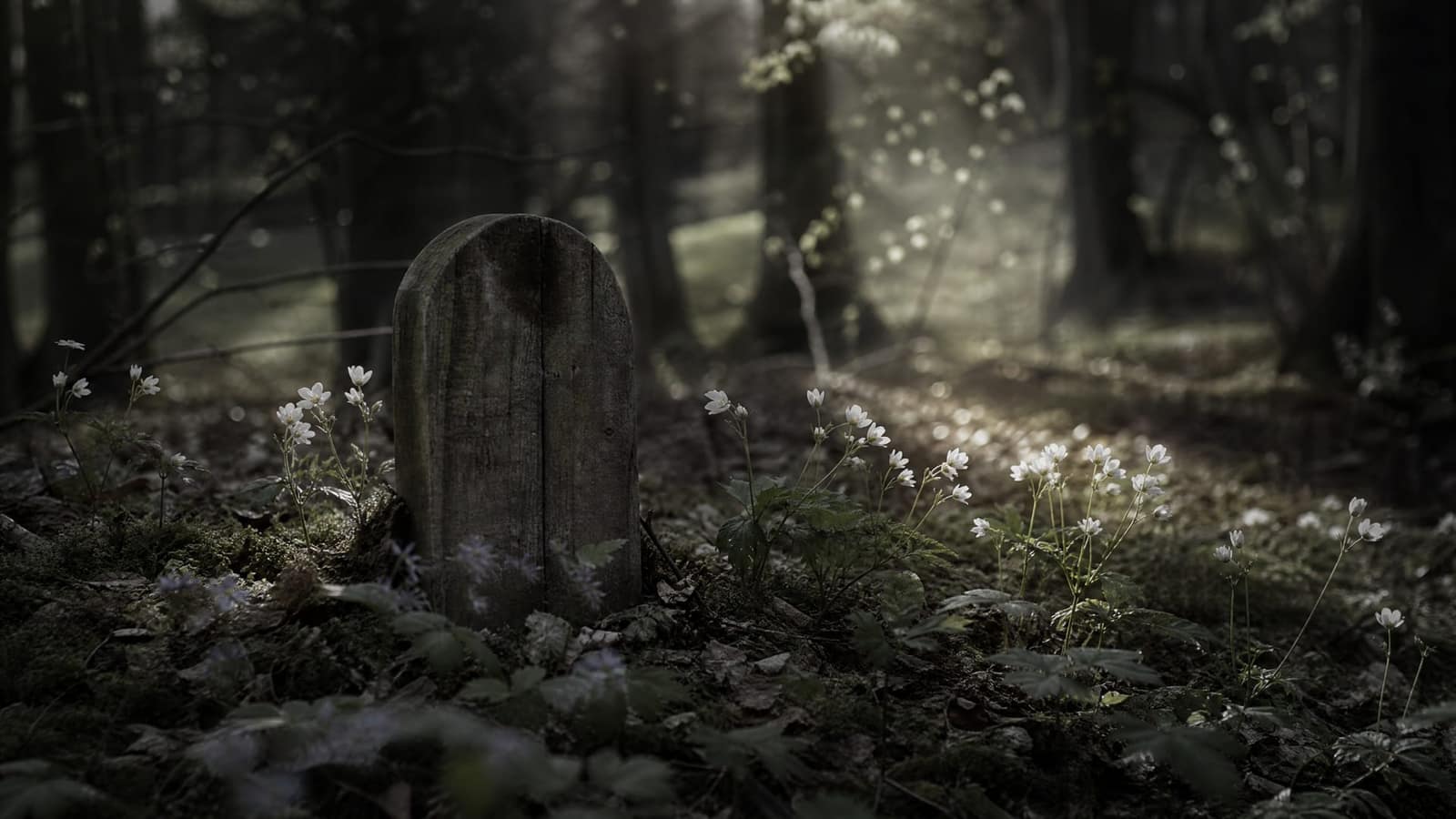 Green Burial: The Complete Guide to Eco-Friendly Death